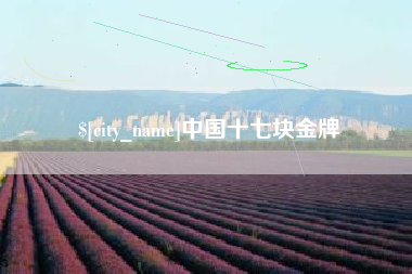 临清中国十七块金牌