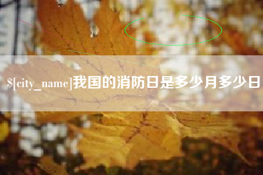临清我国的消防日是多少月多少日