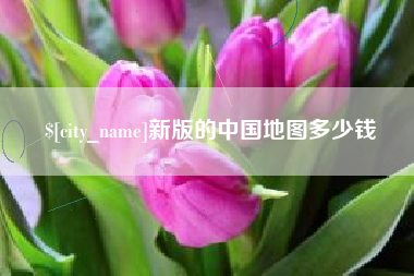 临清新版的中国地图多少钱