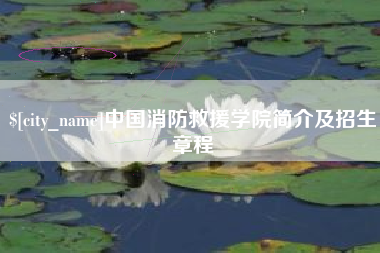 临清中国消防救援学院简介及招生章程