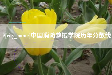 临清中国消防救援学院历年分数线