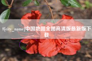 临清中国地图全图高清版最新版下载