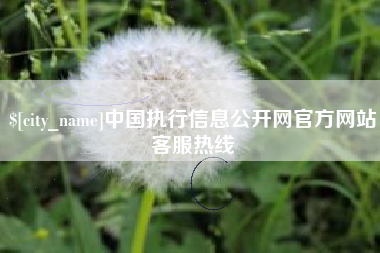 临清中国执行信息公开网官方网站客服热线