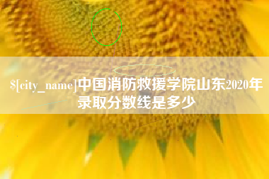 临清中国消防救援学院山东2020年录取分数线是多少
