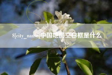 临清中国地图空白框是什么