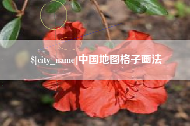 临清中国地图格子画法
