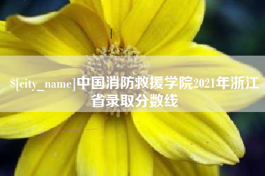 临清中国消防救援学院2021年浙江省录取分数线