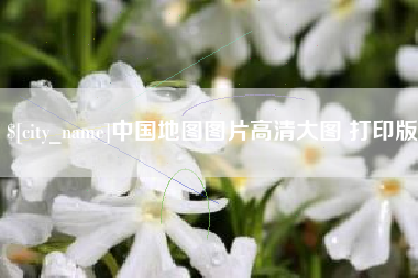 临清中国地图图片高清大图 打印版