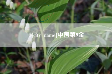 临清中国第9金