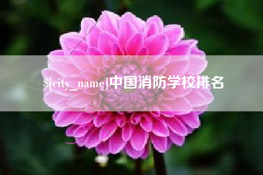 临清中国消防学校排名