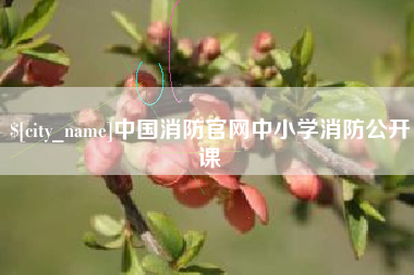 临清中国消防官网中小学消防公开课