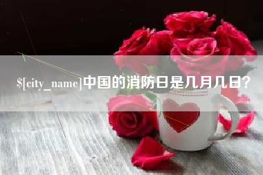 临清中国的消防日是几月几日？