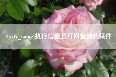 临清执行信息公开网查到的案件