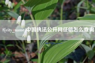 临清中国执法公开网征信怎么查询