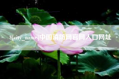 临清中国消防网官网入口网址