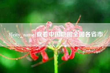 临清查看中国地图全图各省市