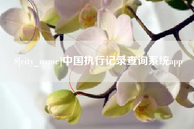 临清中国执行记录查询系统app