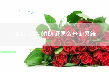 临清消防证怎么查询系统