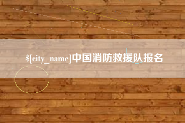 临清中国消防救援队报名
