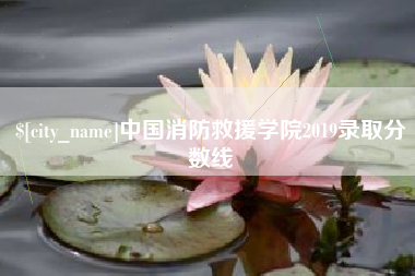 临清中国消防救援学院2019录取分数线