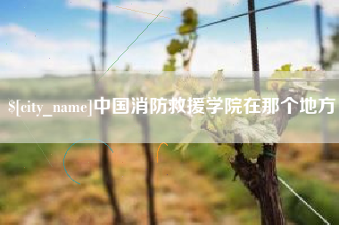 临清中国消防救援学院在那个地方