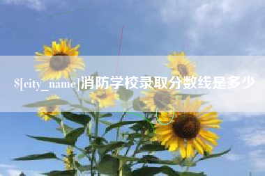 临清消防学校录取分数线是多少