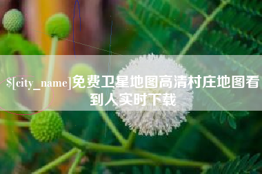 临清免费卫星地图高清村庄地图看到人实时下载