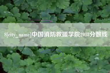 临清中国消防救援学院2018分数线
