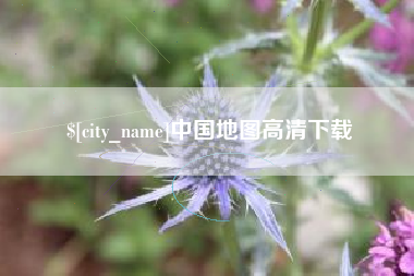 临清中国地图高清下载