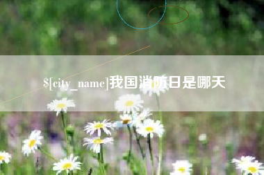 临清我国消防日是哪天