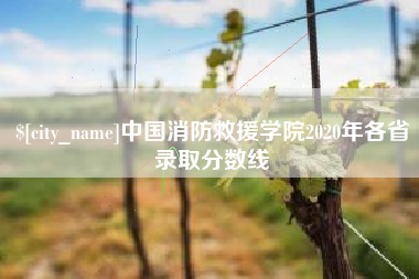 临清中国消防救援学院2020年各省录取分数线