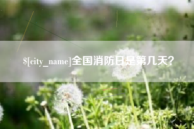 临清全国消防日是第几天？