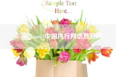 临清中国执行网信息官网