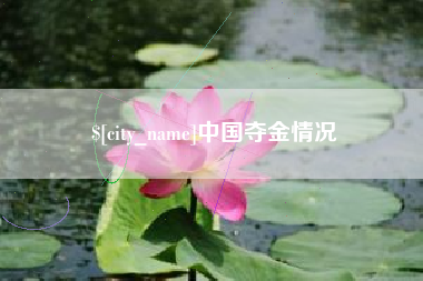 临清中国夺金情况
