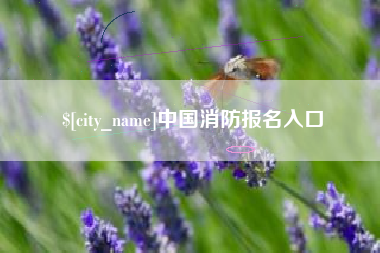 临清中国消防报名入口