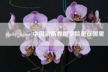 临清中国消防救援学院是在哪里