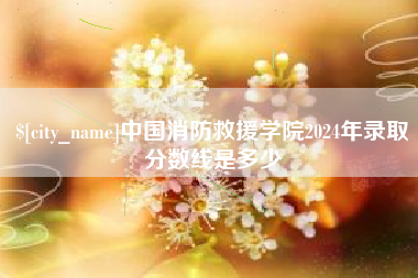 临清中国消防救援学院2024年录取分数线是多少