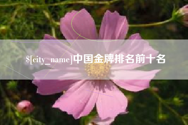 临清中国金牌排名前十名