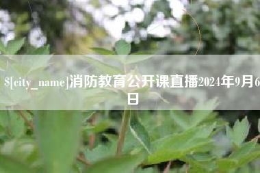 临清消防教育公开课直播2024年9月6日