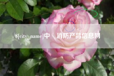 临清中囯消防产品信息网