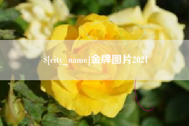 临清金牌图片2021