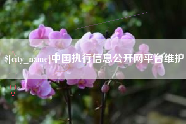 临清中国执行信息公开网平台维护