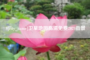 临清卫星地图高清免费2024街景