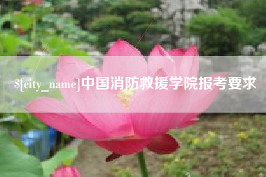 临清中国消防救援学院报考要求