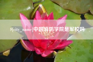 临清中国消防学院是军校吗