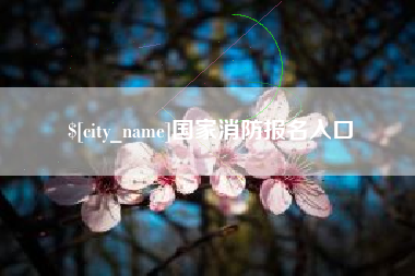 临清国家消防报名入口