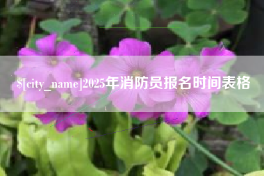 临清2025年消防员报名时间表格