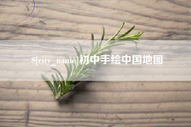 临清初中手绘中国地图