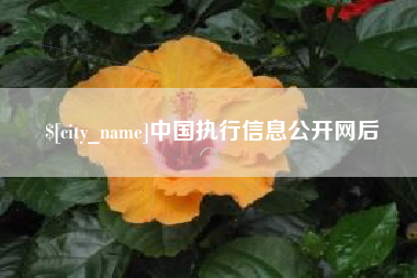 临清中国执行信息公开网后