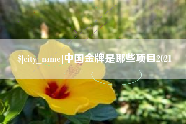 临清中国金牌是哪些项目2021